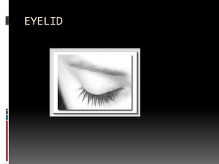 EYELID