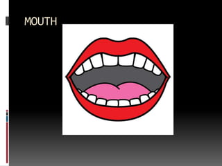 MOUTH