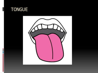 TONGUE