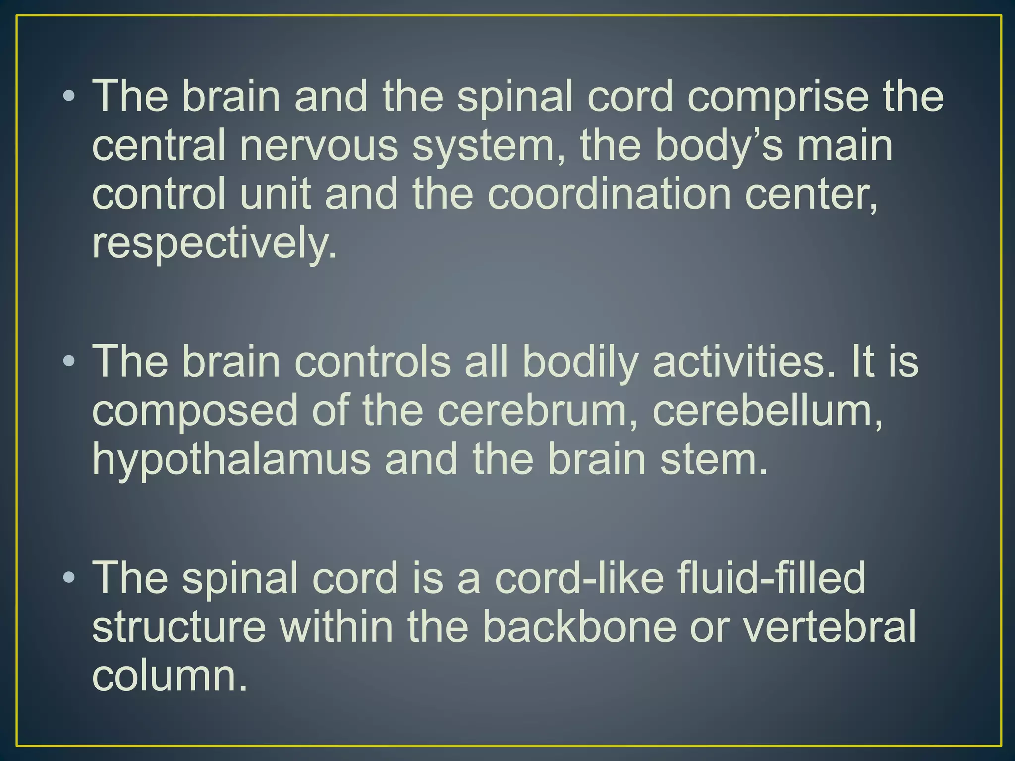 The_Body_s_Control_System.pptx;filename= UTF-8''The Body_s Control ...