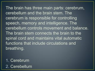 The_Body_s_Control_System.pptx;filename= UTF-8''The Body_s Control ...