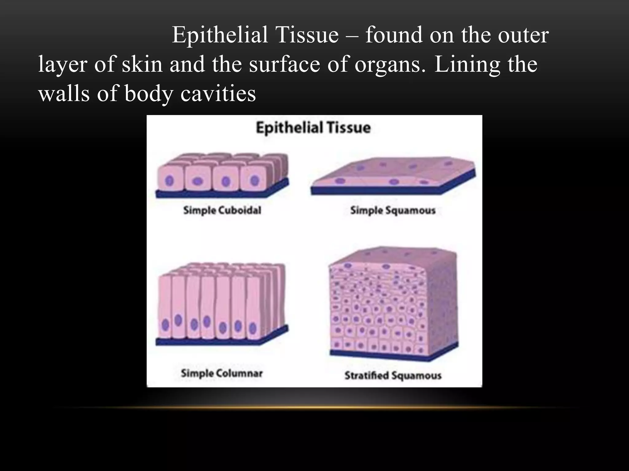The body structure and function | PDF