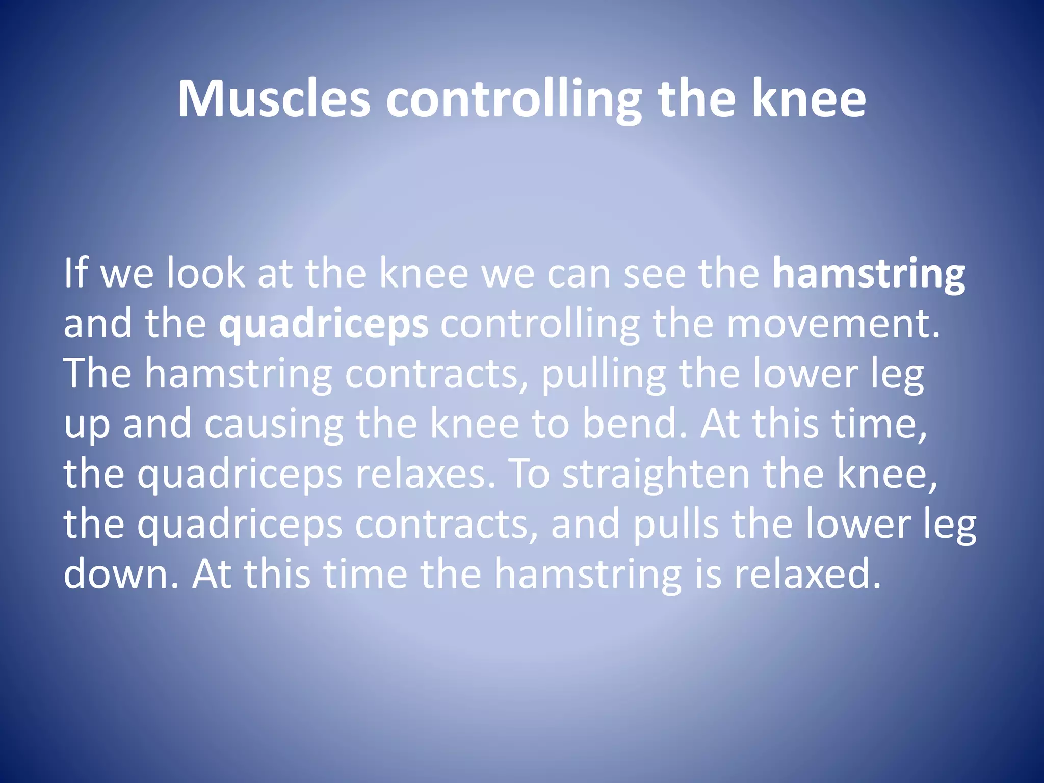 Muscles controlling the knee
If we look at the knee we can see the hamstring
and the quadriceps controlling the movement.
The hamstring contracts, pulling the lower leg
up and causing the knee to bend. At this time,
the quadriceps relaxes. To straighten the knee,
the quadriceps contracts, and pulls the lower leg
down. At this time the hamstring is relaxed.
 