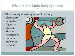 What are the Main Body Systems?There are eight main systems of the body:Circulatory