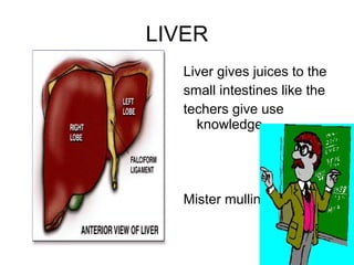 LIVER
   Liver gives juices to the
   small intestines like the
   techers give use
     knowledge




   Mister mullin
 