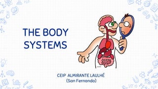 THE BODY
SYSTEMS
CEIP ALMIRANTE LAULHÉ
(San Fernando)
 