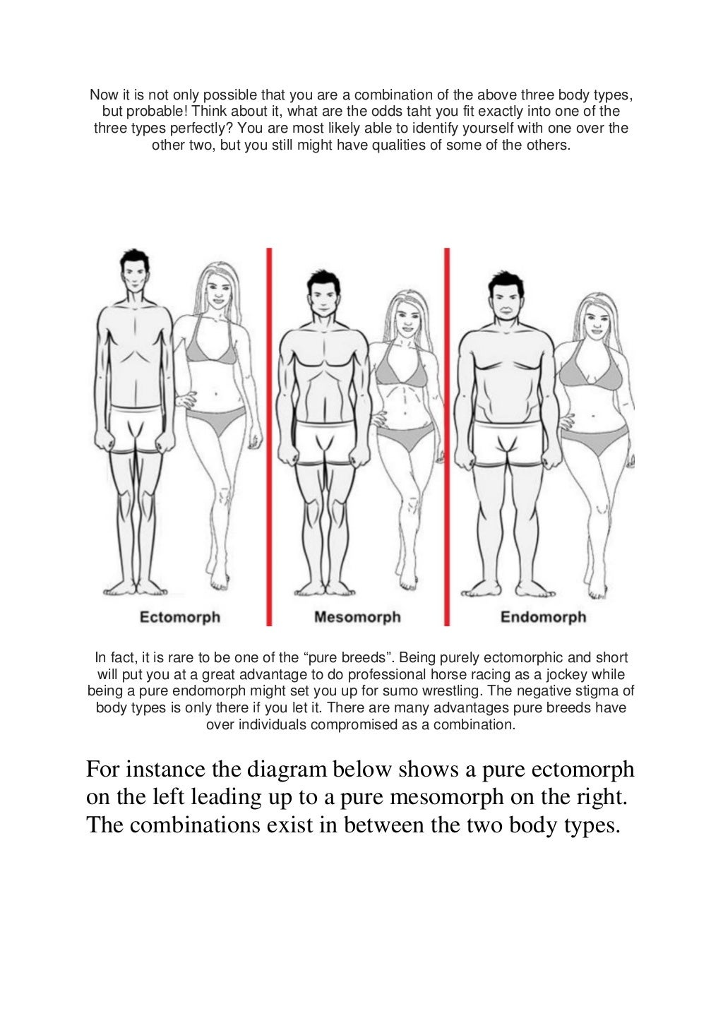 The Body Types