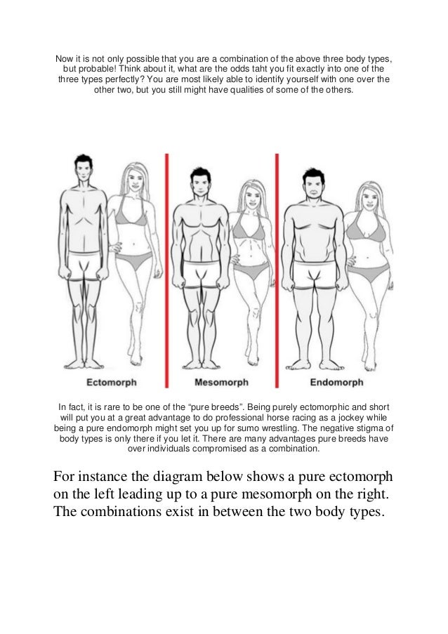 The Body Types The Body Types