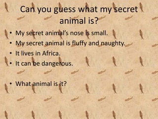 Can you guess what my secret 
              animal is?
•   My secret animal’s nose is small.
•   My secret animal is fluffy and naughty.
•   It lives in Africa.
•   It can be dangerous.

• What animal is it?
 