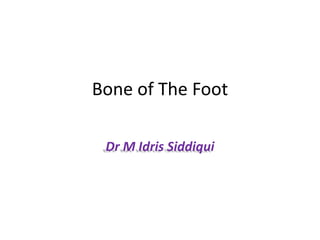 Bone of The Foot
Dr M Idris Siddiqui
 