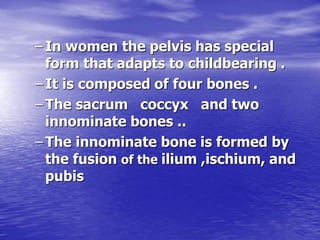 THE BONY PELVIS - Maternal pelvis and fetal skull.ppt