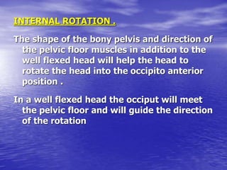 Internal Rotation Anatomical Position THE BONY PELVIS - Maternal pelvis and fetal skull.ppt