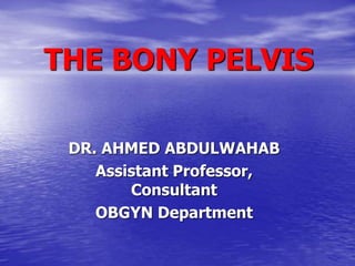 THE BONY PELVIS
DR. AHMED ABDULWAHAB
Assistant Professor,
Consultant
OBGYN Department
 