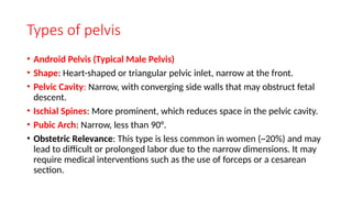 THE BONY PELVIS and it's significance.pptx