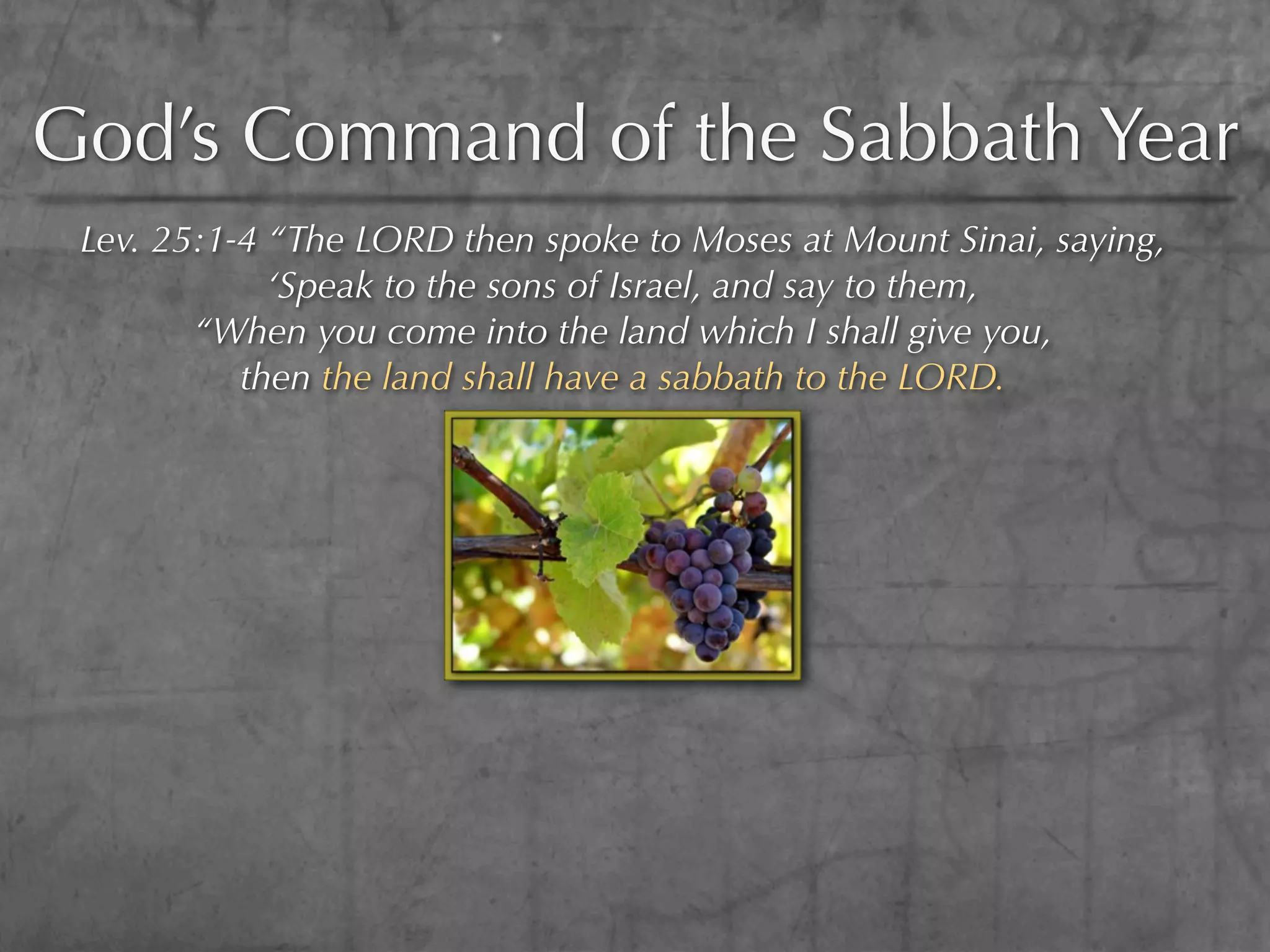 God’s Command of the Sabbath Year
 Lev. 25:1-4 “The LORD then spoke to Moses at Mount Sinai, saying,
             ‘Speak to the sons of Israel, and say to them,
        “When you come into the land which I shall give you,
           then the land shall have a sabbath to the LORD.
 