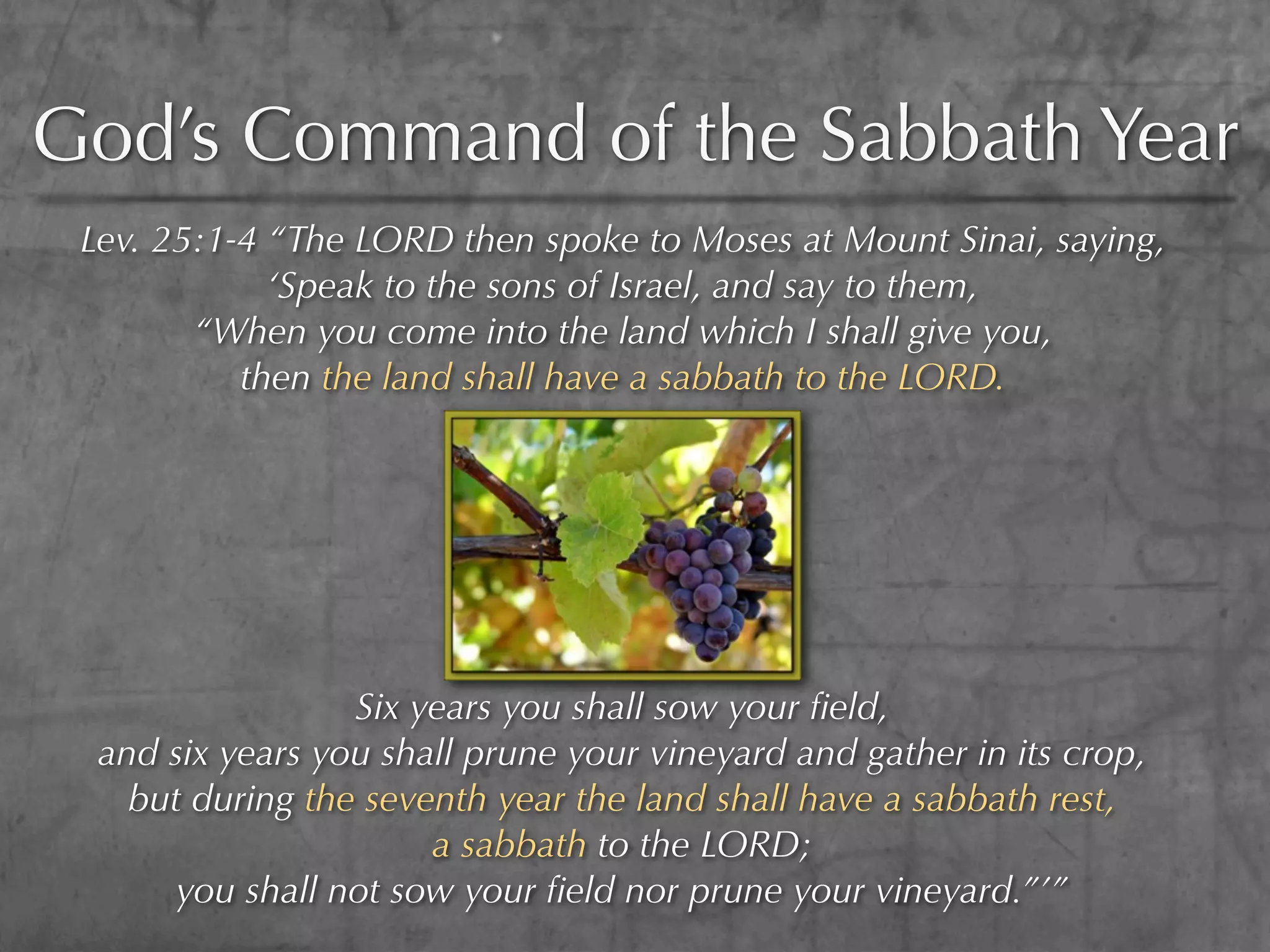 God’s Command of the Sabbath Year
 Lev. 25:1-4 “The LORD then spoke to Moses at Mount Sinai, saying,
             ‘Speak to the sons of Israel, and say to them,
        “When you come into the land which I shall give you,
           then the land shall have a sabbath to the LORD.




                  Six years you shall sow your ﬁeld,
  and six years you shall prune your vineyard and gather in its crop,
    but during the seventh year the land shall have a sabbath rest,
                       a sabbath to the LORD;
       you shall not sow your ﬁeld nor prune your vineyard.”’”
 