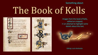 The Book of Kells
Images from the book of Kells,
edited an cropped,
in an attempt to highlight some
details about the text.
Editing: Lucio Andreetto
Something about:
 