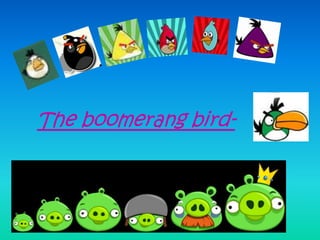The boomerang bird- 