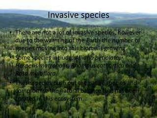 Biomes Moving The boreal forest | PPTX