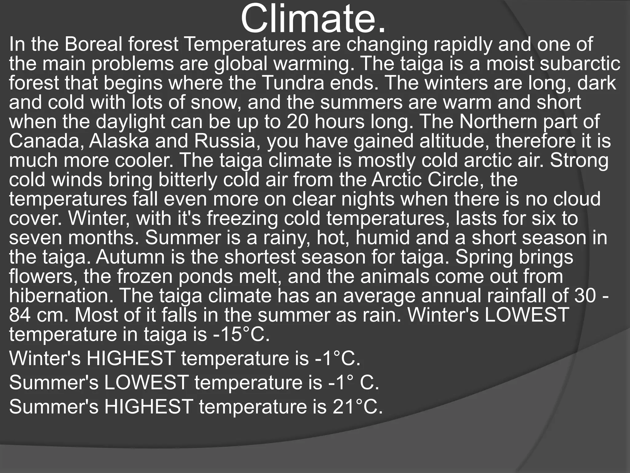 The boreal forests or taiga | PPTX