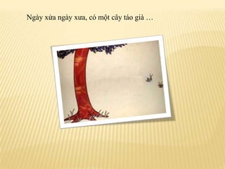 Ngàyxửangàyxưa, cómộtcâytáogià …