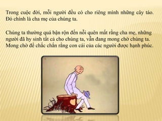 Trongcuộcđời, mỗingườiđềucóchoriêngmìnhnhữngcâytáo. Đóchínhlà cha mẹcủachúngta.Chúngtathườngquábậnrộnđếnnỗiquênmấtrằng cha mẹ, nhữngngườiđãhysinhtấtcảchochúngta, vẫnđangmongchờchúngta. Mongchờđểchắcchắnrằng con cáicủacácngườiđượchạnhphúc.