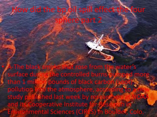 The bp oil spill | PPTX | Environment | Science