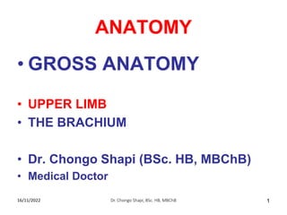 ANATOMY
• GROSS ANATOMY
• UPPER LIMB
• THE BRACHIUM
• Dr. Chongo Shapi (BSc. HB, MBChB)
• Medical Doctor
16/11/2022 Dr. Chongo Shapi, BSc. HB, MBChB 1
 