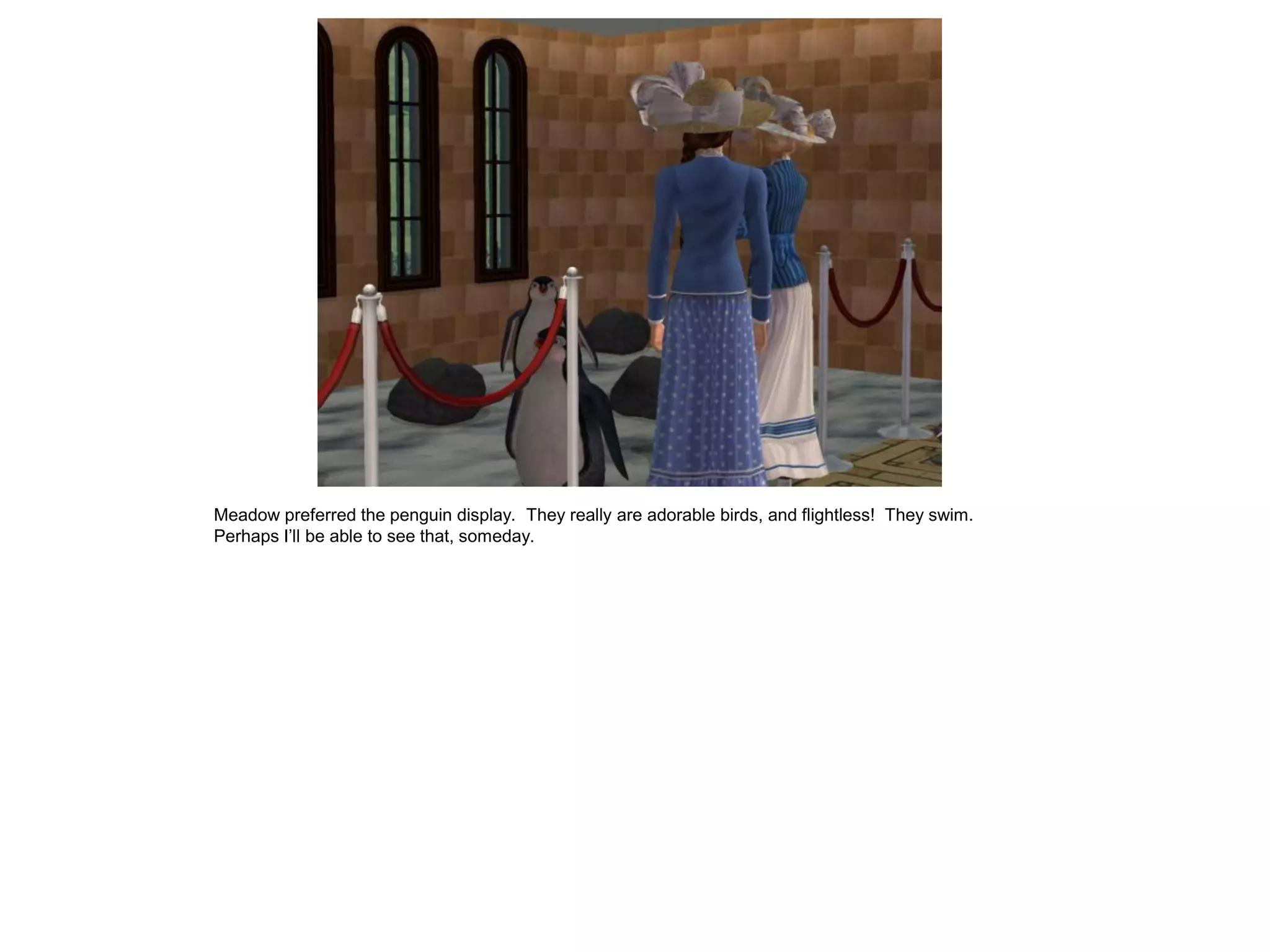 Meadow preferred the penguin display. They really are adorable birds, and flightless! They swim.
Perhaps I’ll be able to see that, someday.
 