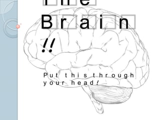 The Brain!! Put this through your head! 