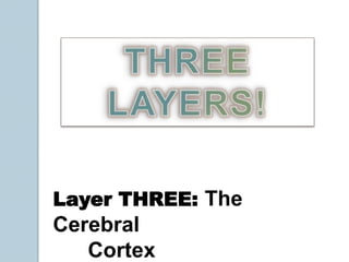 The Brain StemThe midbrain helps process the auditory and visual information.Cerebellum