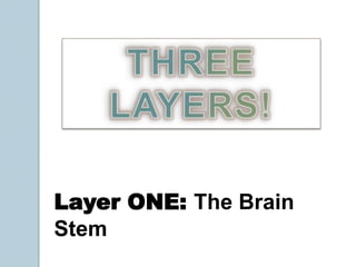 THREE LAYERS!Layer ONE: The Brain Stem