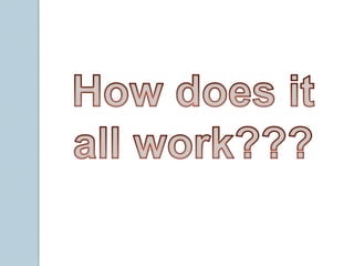 The Limbic SystemThe hypothalamus is important and in charge of keeping our body temperature and fluid levels balanced. When the hypothalamus detects an imbalance, it orders the body to tell our body what we need.