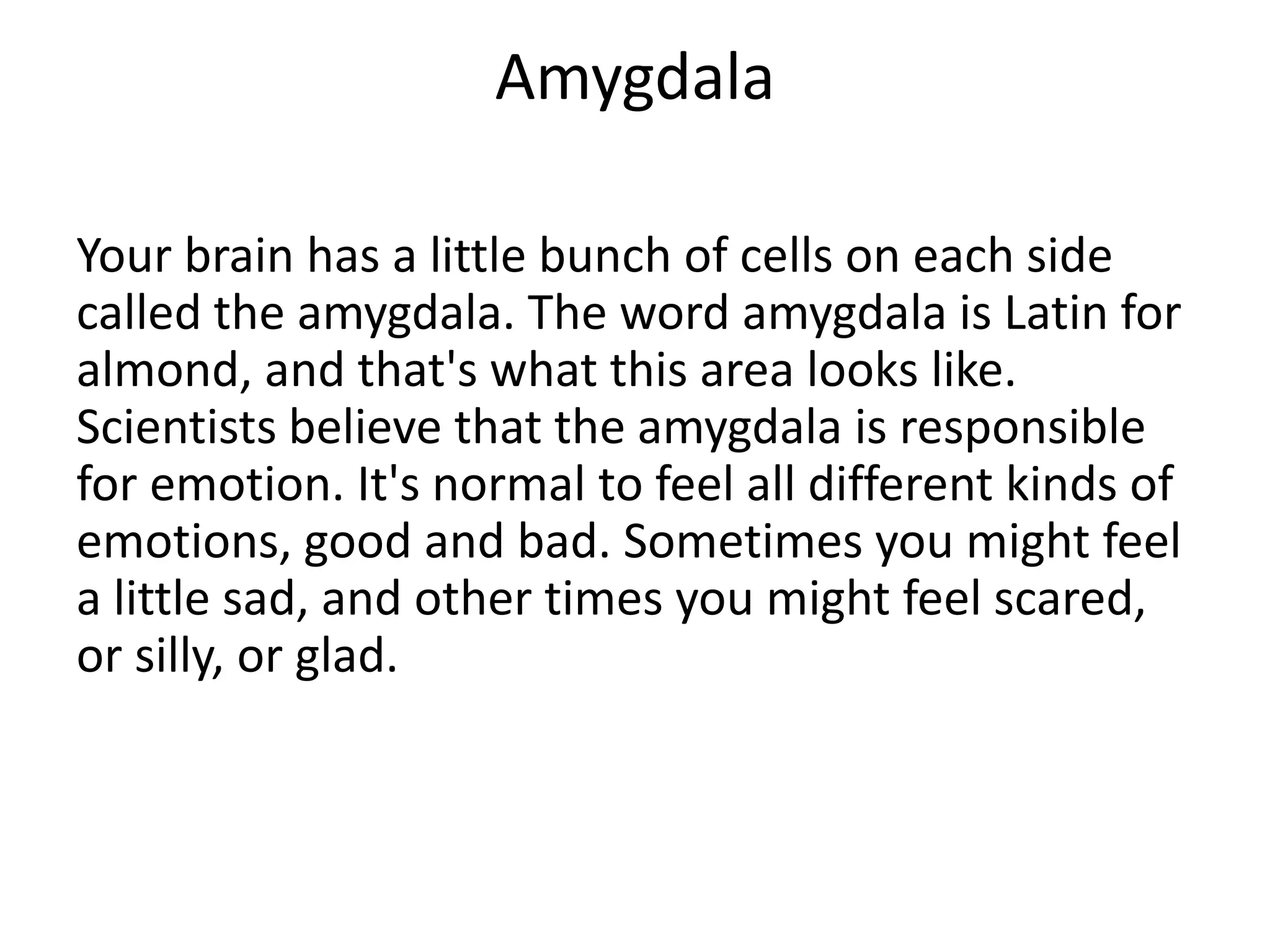 Amygdala

Your brain has a little bunch of cells on each side
called the amygdala. The word amygdala is Latin for
almond, and that's what this area looks like.
Scientists believe that the amygdala is responsible
for emotion. It's normal to feel all different kinds of
emotions, good and bad. Sometimes you might feel
a little sad, and other times you might feel scared,
or silly, or glad.
 