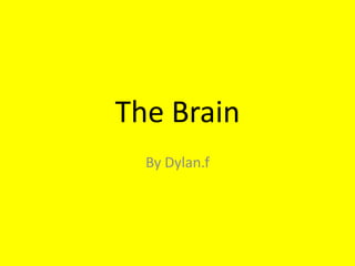 The Brain
  By Dylan.f
 