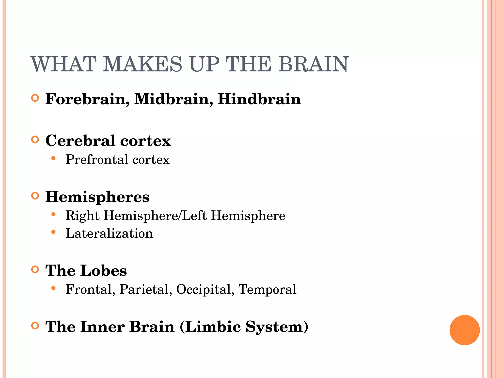WHAT MAKES UP THE BRAIN Forebrain, Midbrain, Hindbrain Cerebral cortex Prefrontal cortex Hemispheres Right Hemisphere/Left Hemisphere Lateralization The Lobes Frontal, Parietal, Occipital, Temporal The Inner Brain (Limbic System) 