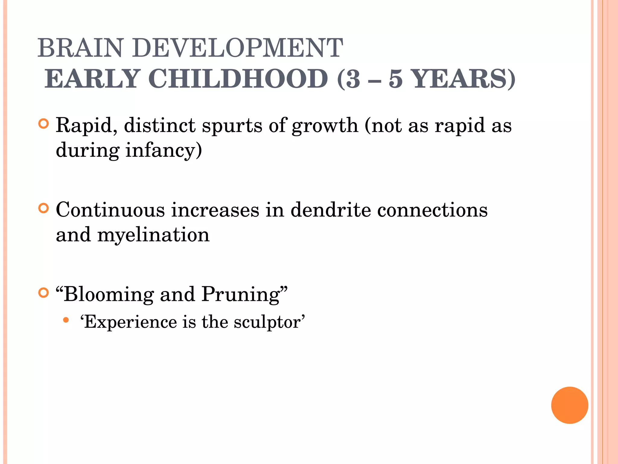 BRAIN DEVELOPMENT  EARLY CHILDHOOD (3 – 5 YEARS) Rapid, distinct spurts of growth (not as rapid as during infancy) Continuous increases in dendrite connections and myelination “ Blooming and Pruning” ‘ Experience is the sculptor’ 