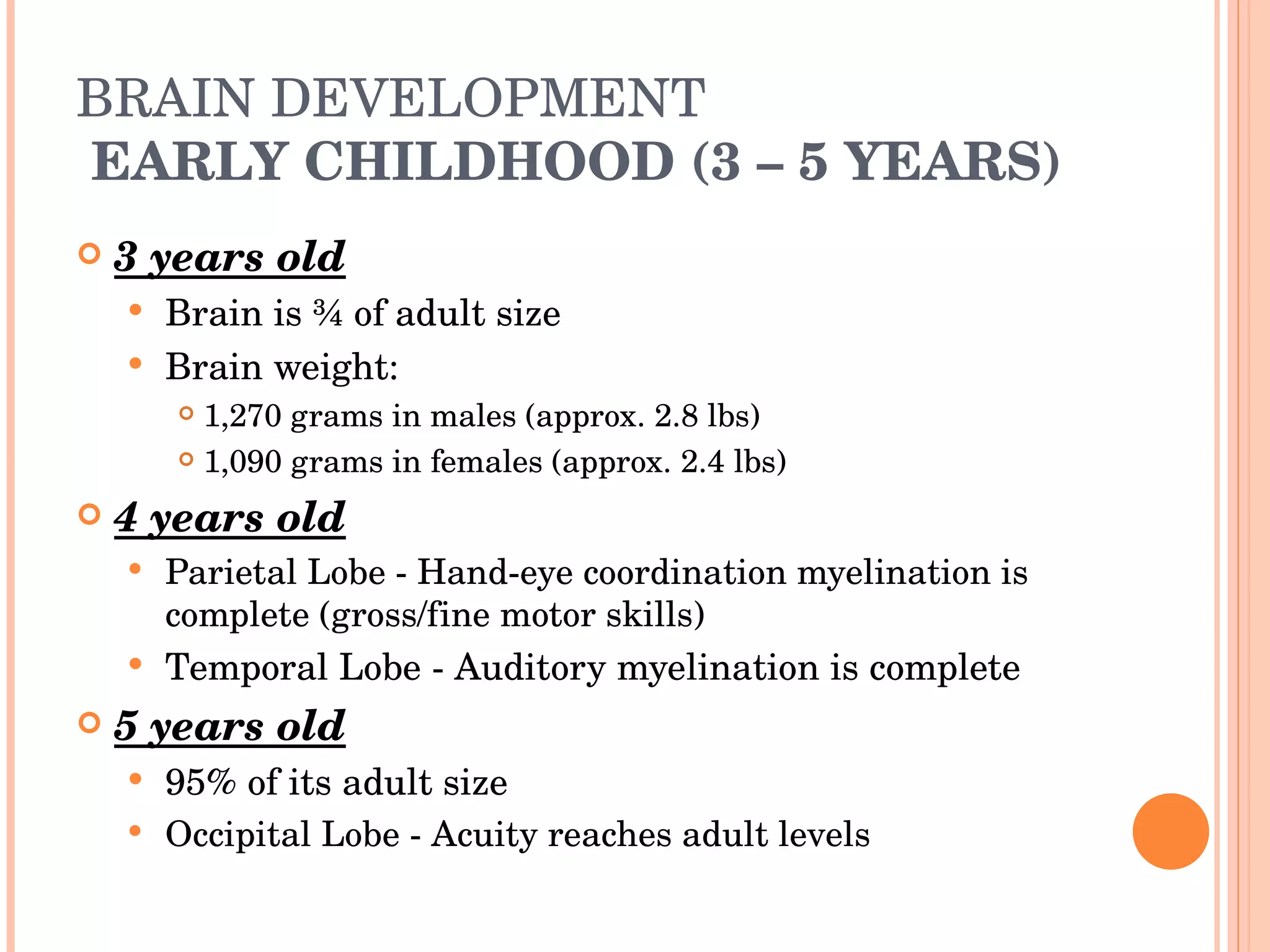 BRAIN DEVELOPMENT  EARLY CHILDHOOD (3 – 5 YEARS) 3 years old Brain is ¾ of adult size Brain weight: 1,270 grams in males (approx. 2.8 lbs) 1,090 grams in females (approx. 2.4 lbs) 4 years old Parietal Lobe - Hand-eye coordination myelination is complete (gross/fine motor skills) Temporal Lobe - Auditory myelination is complete 5 years old 95% of its adult size Occipital Lobe - Acuity reaches adult levels 