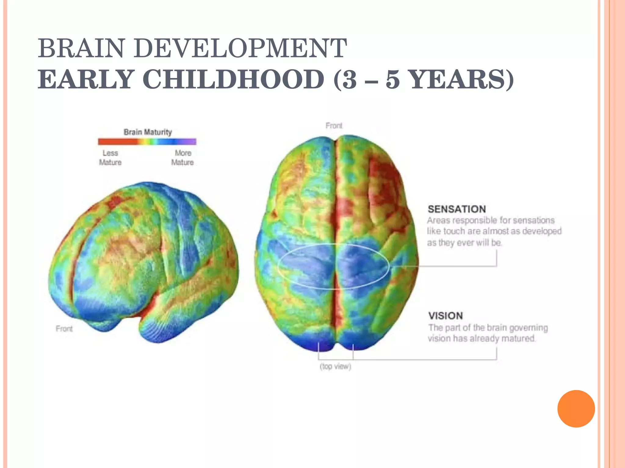 BRAIN DEVELOPMENT EARLY CHILDHOOD (3 – 5 YEARS) 