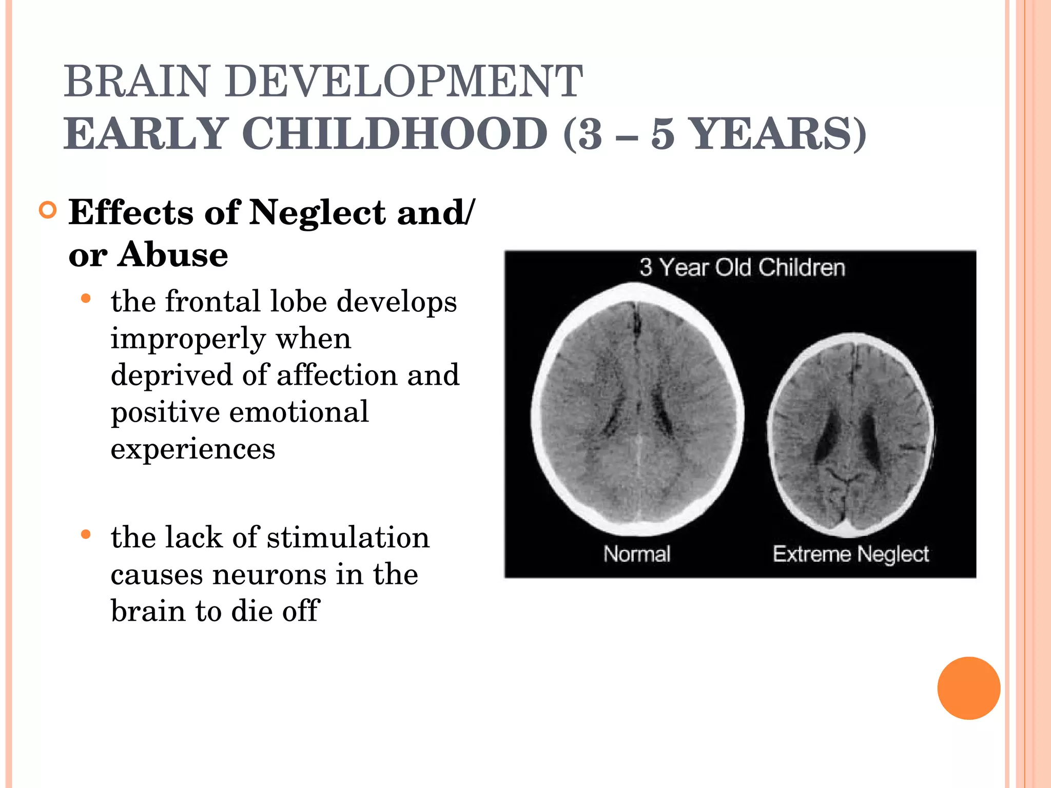 BRAIN DEVELOPMENT EARLY CHILDHOOD (3 – 5 YEARS) Effects of Neglect and/or Abuse the frontal lobe develops improperly when deprived of affection and positive emotional experiences the lack of stimulation causes neurons in the brain to die off  