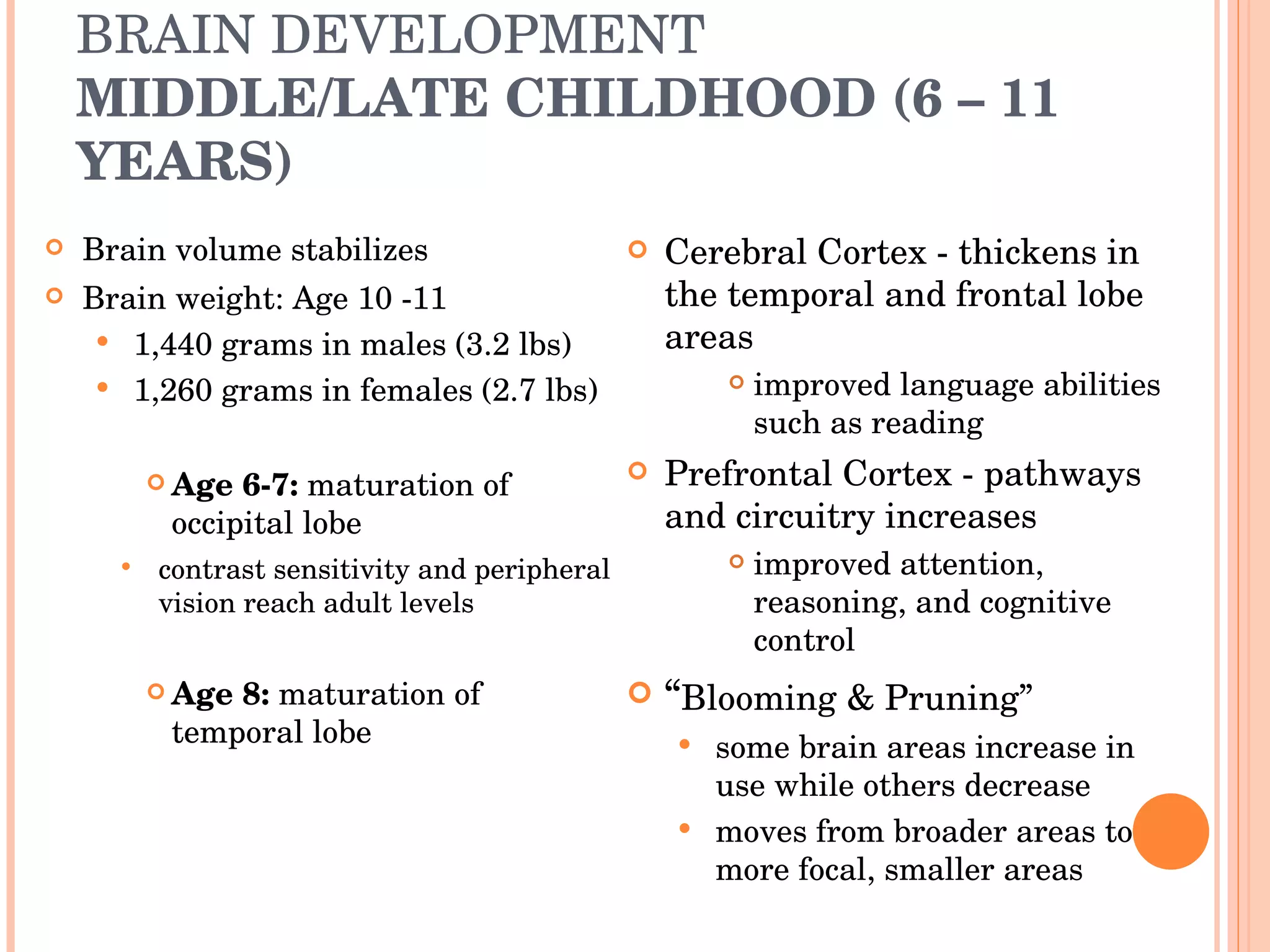 BRAIN DEVELOPMENT MIDDLE/LATE CHILDHOOD (6 – 11 YEARS) Brain volume stabilizes Brain weight: Age 10 -11 1,440 grams in males (3.2 lbs) 1,260 grams in females (2.7 lbs) Age 6-7:  maturation of occipital lobe contrast sensitivity and peripheral vision reach adult levels Age 8:  maturation of temporal lobe   Cerebral Cortex - thickens in the temporal and frontal lobe areas improved language abilities such as reading Prefrontal Cortex - pathways and circuitry increases improved attention, reasoning, and cognitive control “ Blooming & Pruning” some brain areas increase in use while others decrease moves from broader areas to more focal, smaller areas 