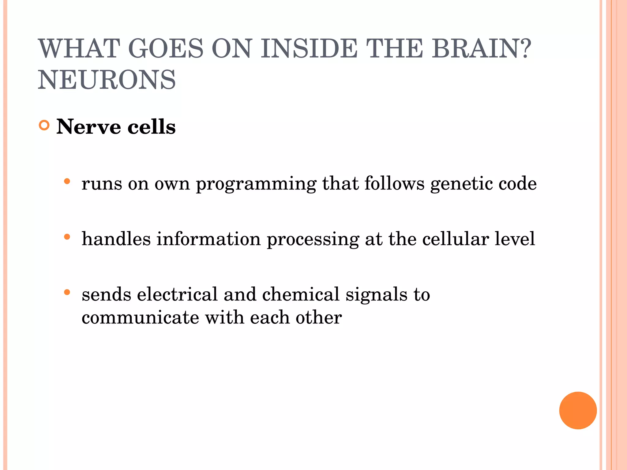 WHAT GOES ON INSIDE THE BRAIN? NEURONS Nerve cells runs on own programming that follows genetic code handles information processing at the cellular level sends electrical and chemical signals to communicate with each other 