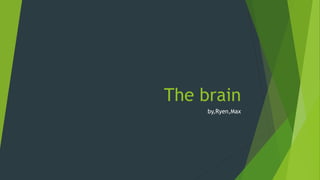 The brain
by,Ryen,Max
 