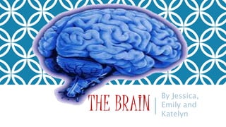 THE BRAIN
By Jessica,
Emily and
Katelyn
 