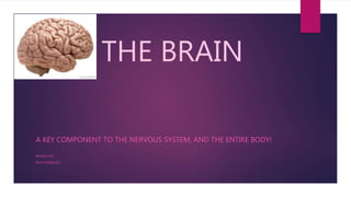 THE BRAIN
A KEY COMPONENT TO THE NERVOUS SYSTEM, AND THE ENTIRE BODY!
BIOLOGY 120
RICKY RODRIGUEZ
 