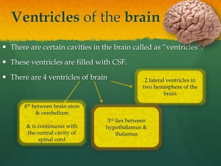 Ventricles of the brain
 There are certain cavities in the brain called as “ventricles”.
 These ventricles are filled wi...