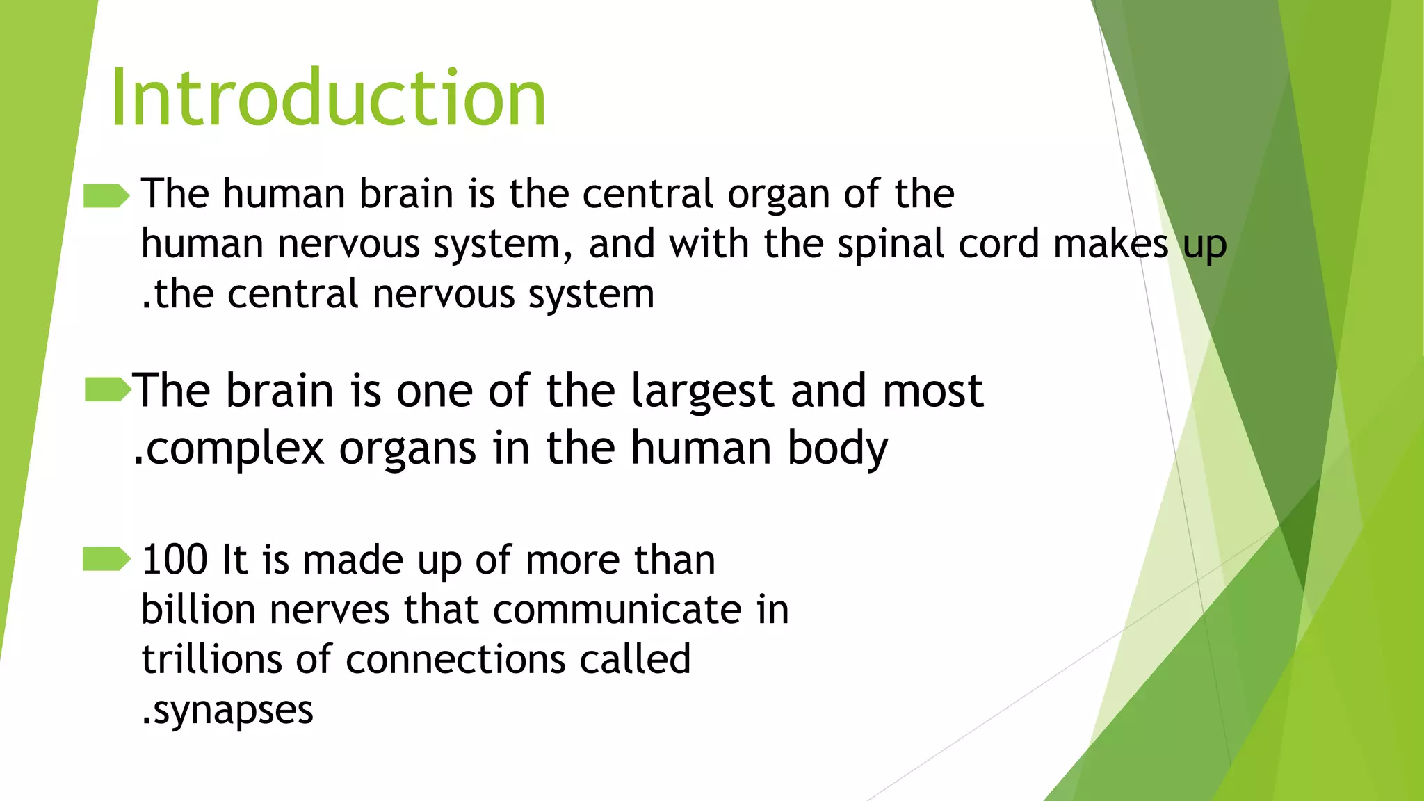 Introduction
The brain is one of the largest and most
complex organs in the human body.
It is made up of more than100
billion nerves that communicate in
trillions of connections called
synapses.
The human brain is the central organ of the
human nervous system, and with the spinal cord makes up
the central nervous system.