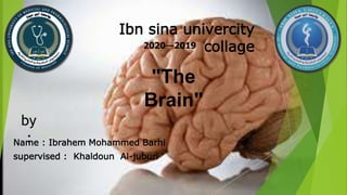 Name : Ibrahem Mohammed Barhi
supervised : Khaldoun Al-juburi
Ibn sina univercity
collage2019—2020
"The
Brain"
by
:
 