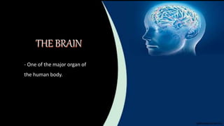 - One of the major organ of
the human body.
 