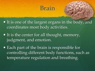 Brain
 It is one of the largest organs in the body, and
coordinates most body activities.
 It is the center for all thought, memory,
judgment, and emotion.
 Each part of the brain is responsible for
controlling different body functions, such as
temperature regulation and breathing.
 